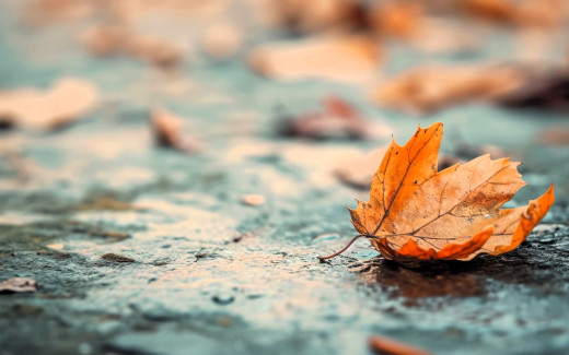 1754617 (a): :1920x1200